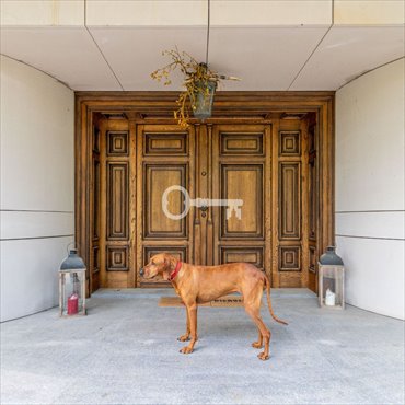 Luksusowa rezydencja 538 m2 z widokiem na Jeziorkę dom Konstancin-Jeziorna, okolice rzeki Jeziorka