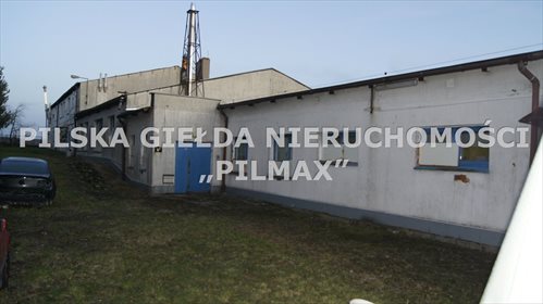 Magazyn na wynajem Szydłowo 1 061m2 Foto 1
