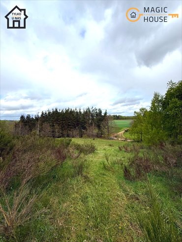 działka na sprzedaż 3680m2 działka Przetoczyno, Sosnowa Góra