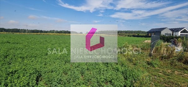 działka na sprzedaż 3050m2 działka Mochle