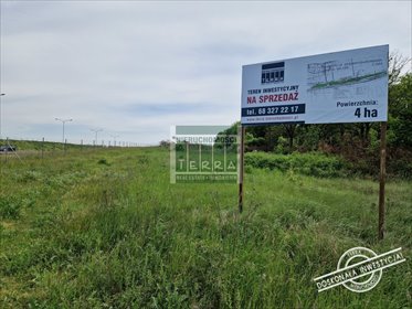 działka na sprzedaż 42000m2 działka Sulechów, Kruszyna