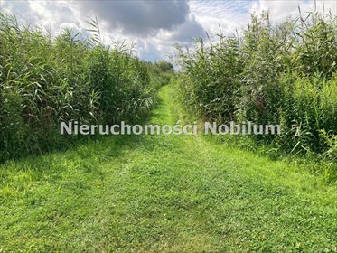 Działka inna na sprzedaż Koniowo 38 300m2 Foto 4