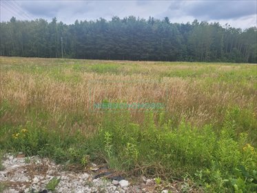 działka na sprzedaż 1435m2 działka Bieniewiec