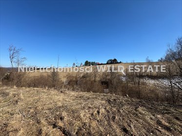 działka na sprzedaż 5568m2 działka Solina, Berezka