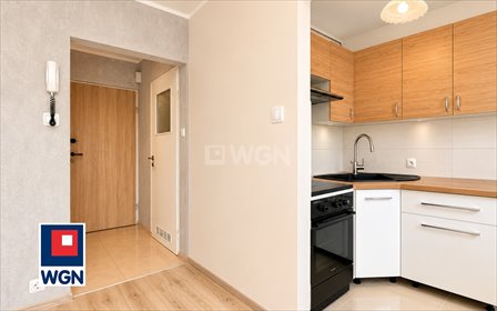 mieszkanie na wynajem 24m2 mieszkanie Ostrów Wielkopolski, Wenecja, Modrzewskiego