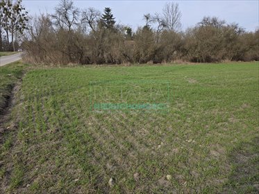 działka na sprzedaż 3100m2 działka Grodzisk Mazowiecki