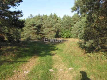 Działka budowlana na sprzedaż Siedlątków, Osiedle Działek 860m2 Foto 2