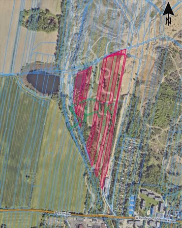 działka na sprzedaż 47150m2 działka Bytom