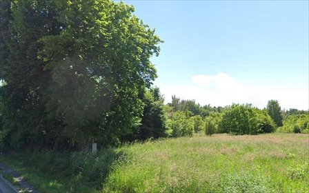 działka na sprzedaż 3820m2 działka Cianowice, Krakowska