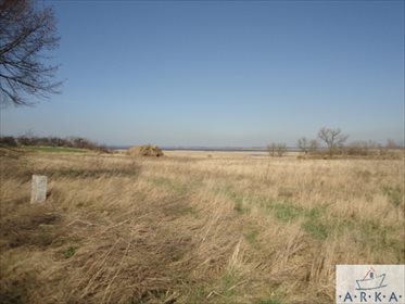 działka na sprzedaż 10000m2 działka Turze