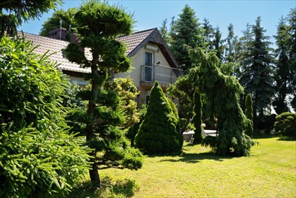 Na sprzedaż siedlisko 9 898 m² w Rybitwach z basenem lokal użytkowy Rybitwy
