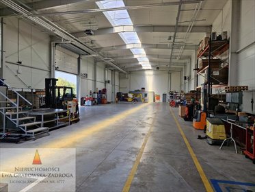 magazyn na wynajem 1250m2 magazyn Koleczkowo, Koleczkowo