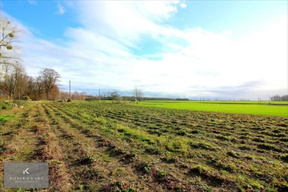 Działka inna na sprzedaż Kamienna 1 185m2 Foto 3