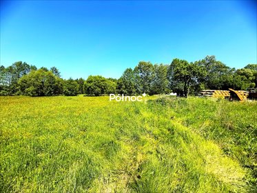 Działka 1359 m² z budynkiem i warunkami zabudowy działka Borzykówka