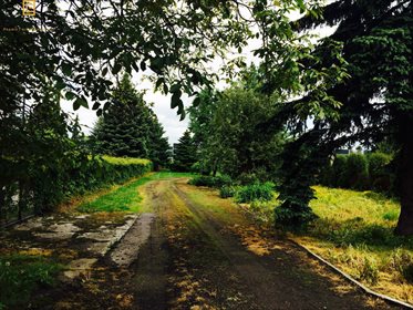 Działka komercyjna na sprzedaż Kazimierzówka 6 000m2 Foto 4