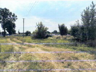 działka na sprzedaż 29233m2 działka Kisielewo