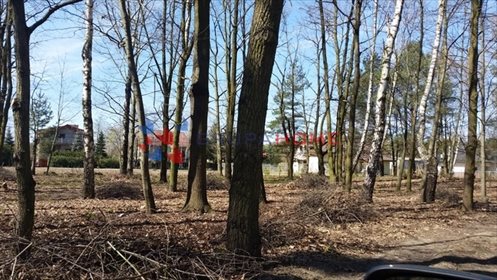 Działka 3000 m² z pozwoleniem na dom wolnostojący działka Milanówek