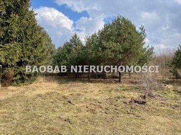 Sprzedam działkę 7 100 m² z możliwością zabudowy w Lasku działka Lasek