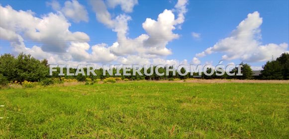 Działka budowlana na sprzedaż Ogrodzisko 2 239m2 Foto 2