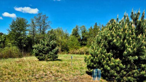 działka na sprzedaż 1940m2 działka Zambski Kościelne