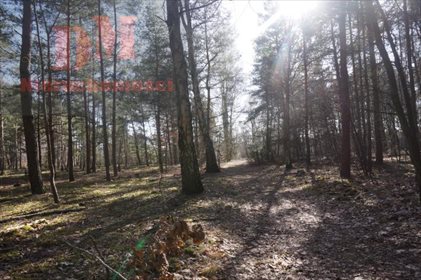 działka na sprzedaż 3040m2 działka Józefów