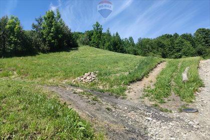 Działka budowlana na sprzedaż Grywałd 4 011m2 Foto 4