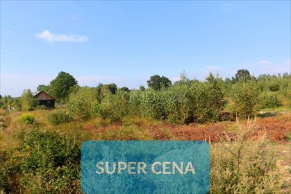 działka na sprzedaż 2000m2 działka Bartodzieje