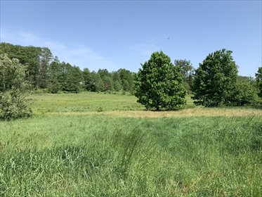 działka na sprzedaż 1320m2 działka Długosiodło