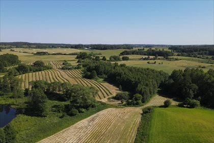 Działka rolna na sprzedaż Malinka, Wydminy 155 400m2 Foto 4