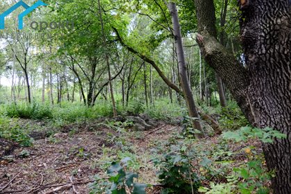 Działka usługowa 2512 m² z uzbrojeniem i podziałem działka Dąbrowa Górnicza, Siemońska