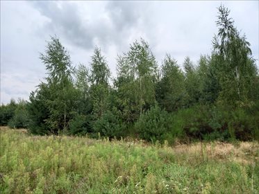 Działka rolna na sprzedaż Promna-Kolonia, Promna 11 400m2 Foto 2