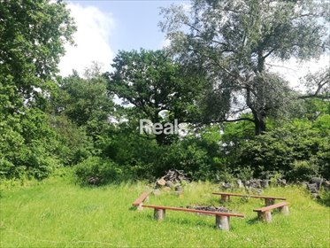 Działka na siedlisko lub dla inwestora, Jabłonna. działka Skierdy