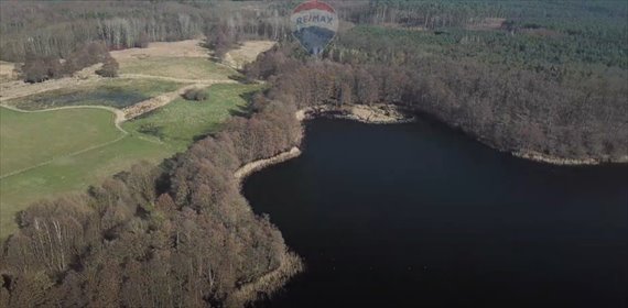 działka na sprzedaż 88800m2 działka Warnice