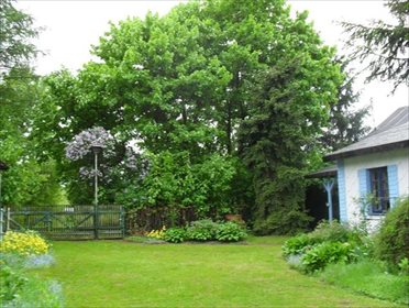 Dom na sprzedaż Mrowiska 140m2 Foto 5