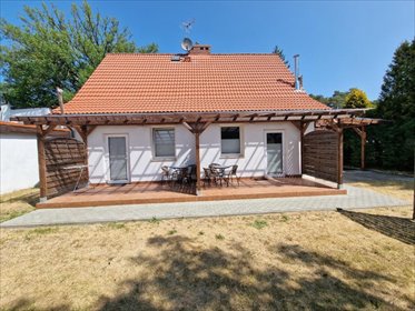 dom na wynajem 100m2 dom Dźwirzyno