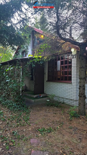 Urokliwy domek letniskowy 50 m² w Miałach - las i spokój dom Miały