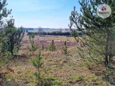 Działka rolna na sprzedaż Biesówko, Biesówko 4 093m2 Foto 5