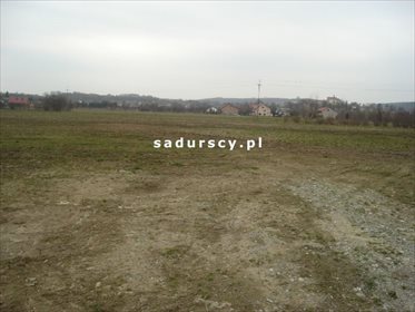 Działka inwestycyjna na sprzedaż Morawica 10 000m2 Foto 3
