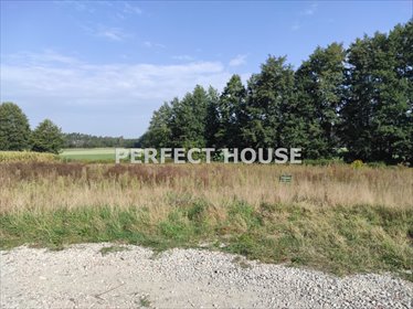 działka na sprzedaż 3008m2 działka Radzewice, Bławatkowa