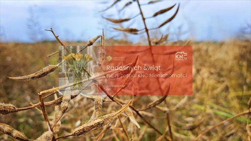 działka na sprzedaż 6700m2 działka Nałęczów