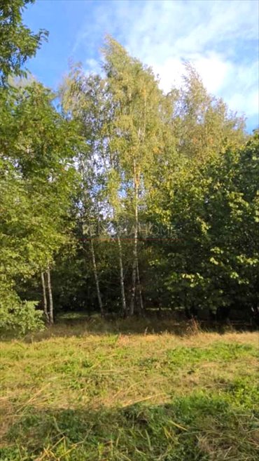 działka na sprzedaż 2880m2 działka Miękinia