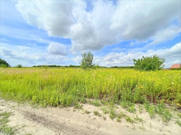 działka na sprzedaż 9000m2 działka Bielawa, Zawilcowa