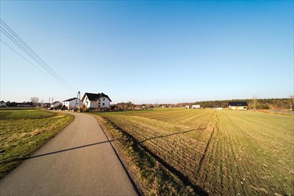 działka na sprzedaż 837m2 działka Ozimek, Działki wśród nowych domów. Okazja!
