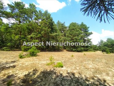 Działka inna na sprzedaż Stawinoga 2 555m2 Foto 2