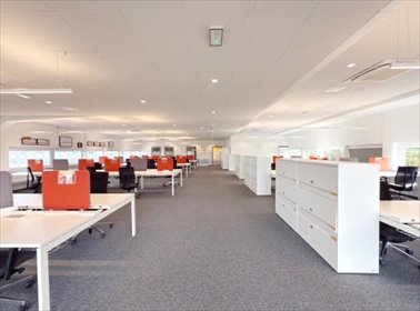 Nowoczesny lokal biurowy 249 m² z dostępem 24/7 - polecam! lokal użytkowy Opole