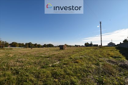 Działka rolna na sprzedaż Nowy Skoszyn 4 999m2 Foto 1