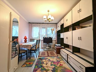 mieszkanie na wynajem 38m2 mieszkanie Wieniec Zdrój, Smolki