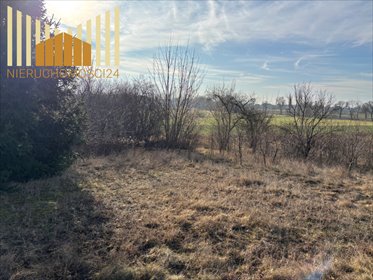Działka 3000 m² przy asfaltowej drodze w Mrozach. działka Mrozy