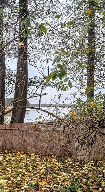 działka na sprzedaż 3049m2 działka Stary Gieląd, Stary Gieląd