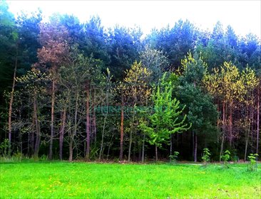 działka na sprzedaż 2395m2 działka Słubica A